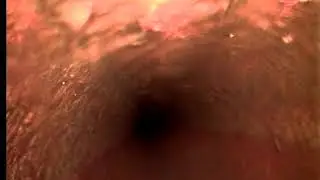 Dunedin Sewer Inspection