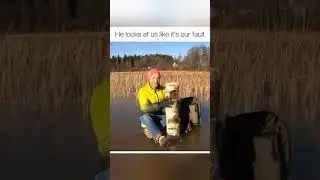 Funny Shorts part 222 #shorts 😂😂😂 #funny #humor #fails