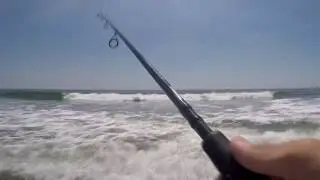 How to Catch Snapper Bluefish From the Surf on Snapper Poppers