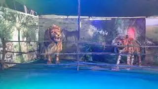 robotics animal exhibition sholinganallur