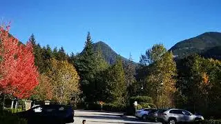 11294 fleetwood Park Surrey canada 