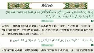第二章 黄 牛(百格勒) البقرة｜《古兰经》诵读｜中文译解