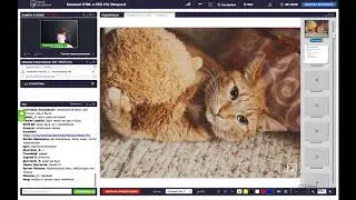 Базовый HTML и CSS  1 лекция