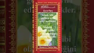K&acirc;inattaki Tevafuk ve Tehal&uuml;f Ne Anlatır? Tevhid ve Hikmetin Delili