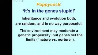 230 Epigenetic Inheritance: First Inkling