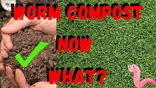 How To Use Worm Castings In Container Garden