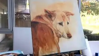 Speed Painting: Timelapse of an Old Corgi