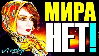 МИРА-НЕТ!