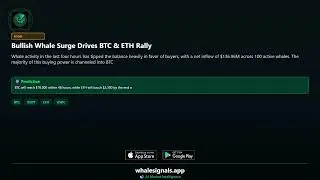 Bullish Whale Surge Drives BTC & ETH Rally