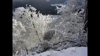 Ralsko