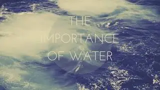 The Importance of Water