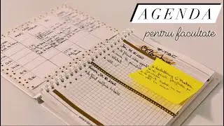agenda pentru facultate: calendare, structuri, orar | let's plan together