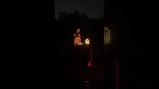 Whistling Bach & Lynch Under the Full Sturgeon Moon | Treasure Farm 2025