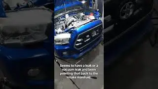 Fixing a Tacoma Leak Under Beastly Light 💡 | TRiLIGHT Shoplight V2 in Action   #stkrconcepts