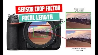 Understanding Sensor Crop Factor and Its Implications on Focal Length