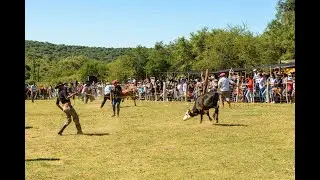 Tintigasta Festival