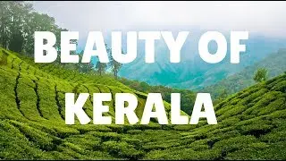 KERALA - The Beauty of Nature