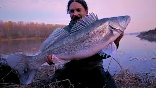 The FISH of a LIFETIME - My First Over Meter ZANDER