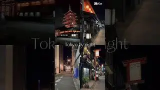 Tokyo by night ❤️ #Tokyo #Asakusa