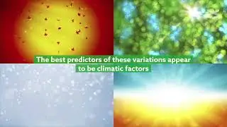 Predicted shifts in microbial patterns along mountain streams under climate change