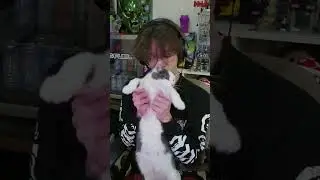 Steven is the best cat
