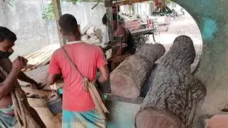 High Quality Mahogany Wood Cutting in Sawmill Bangladesh।Dangerous Band Sawmill Work Asia Bangladesh