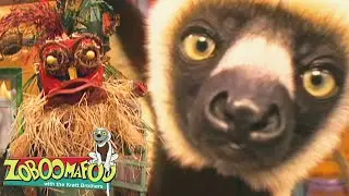 Caras Engraçadas | Zoboomafoo Português - WildBrain | Episódios Completos para Crianças