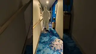 Карантин стал неотъемлемой частью работы на круизном лайнере. Уже более 70 дней!