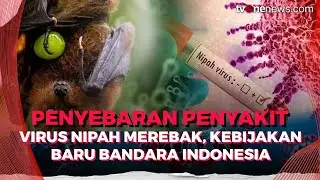 Virus Nipah Makin Merebak, Ini Kebijakan Baru di Bandara Indonesia | OneNews Update
