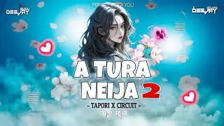 A TURA NEIJA II TAPORI X CIRCUIT II DJ R3 🔗 DOWNLOAD NOW ✅