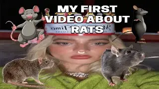 My First Video About Rats!!!