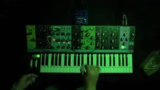 Enter the Cosmos (Moog Matriarch and Meris Mercury 7