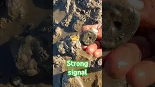 #music #plaza #metaldetecting #shortvideo #metaldetector #beach #treasure
