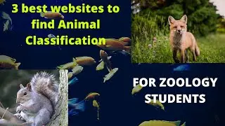 3 Best websites for zoology students to find Taxonomic data|Animal classification|Hierarchy|Sci data