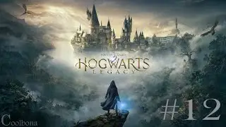 Hogwarts Legacy #12 - Ohne Kommentar [4K]