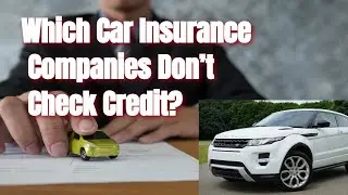 Which Car Insurance Companies Don&rsquo;t Check Credit? Every Details!!
