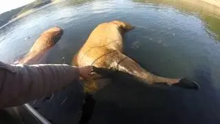 Surprise &agrave; la p&ecirc;che