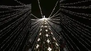 Волшебная ночь на Рождество ✨️😇✨️ #Сочи онлайн