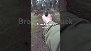 browning buck mark .22lr