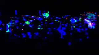 Forrest Explosion Sommernachtstraum Kieskuhle Zapel 11.08.2012