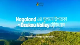 zukou valley trek  ।।  2days & 1night best offbeat