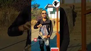 #dog #animals #love #awareness #rider #shorts #shortvideo #short #shortsfeed #pets #meghalaya #india