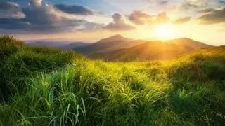 10996  ТА ЖЕ САМАЯ ЛЮБОВЬ  Пастор С Шибелли