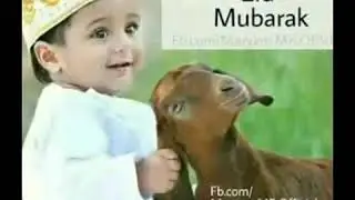 Beautiful Dp'z for eid-ul-Adha/wallpapers/Eid-ul-adha pics