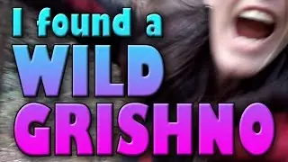 I Found a WILD GRISHNO!!!