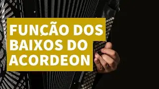Qual &eacute; a FUN&Ccedil;&Atilde;O dos BAIXOS do ACORDEON?