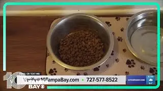VERIFY: Citizen petition filed to the FDA over Purina dog food safety claims