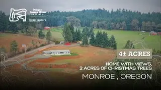 25589 Cemetery Road, Monroe | 4 Acres and a Home!
