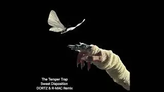 The Temper Trap - Sweet Disposition (DORTZ & R-MAC Remix) [Free Download]
