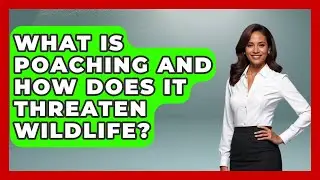 What Is Poaching And How Does It Threaten Wildlife? - Explaining Ecology